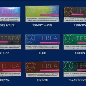 HEETS TEREA (INDONESIAN) FOR IQOS ILUMA IN Emirates
