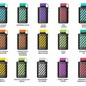 VOZOL GEAR 10000 PUFFS DISPOSABLE VAPE UAE