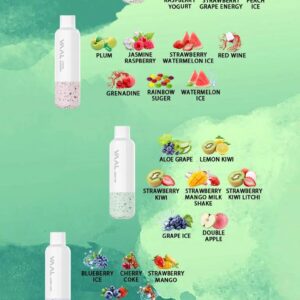 VAAL EP4500 Rechargeable Disposable 4500 Puffs
