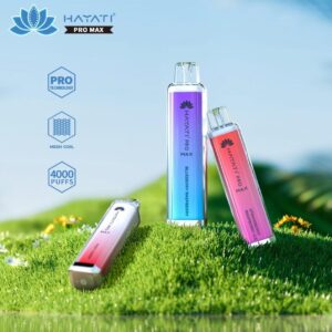 Hayati Pro Max 4000 Puffs Disposable Vape
